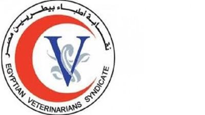 البيطريين: الجمعية العمومية العادية 17 يونيو الجارى لاعتماد ميزانية 3 سنوات