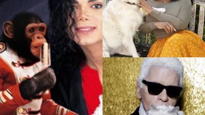 أبرزهم قرد مايكل جاكسون.. تعرف علي قائمة المشاهير الذين كتبوا ثرواتهم بأسماء الحيوانات