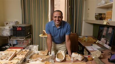 بالصور .. شاهد فريق بحثي يكتشف حفرية لديناصور عمرها 98 مليون سنة بالواحات البحرية