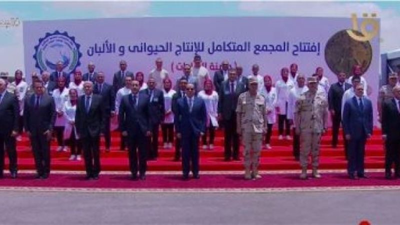 الموجز