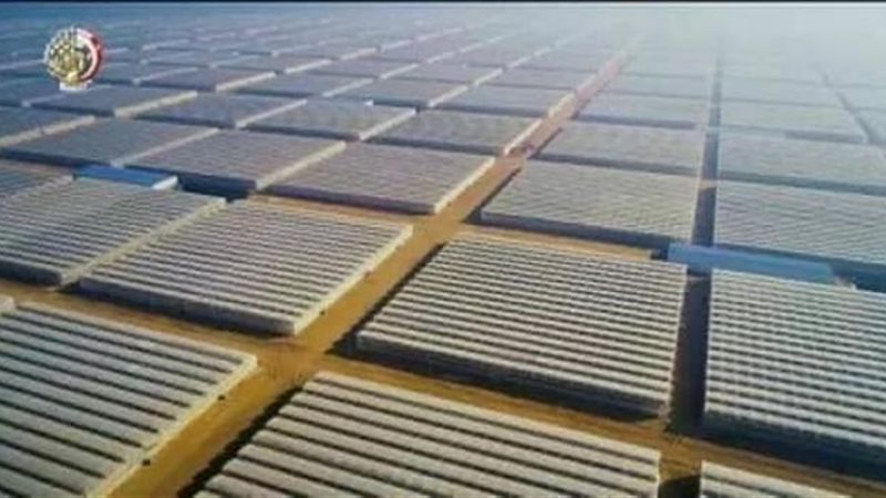 مشروع الصوب الزراعية