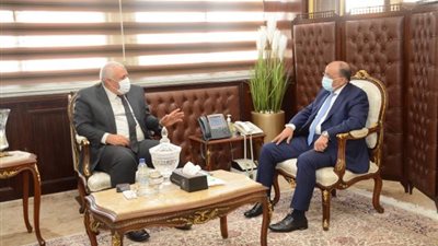 تفاصيل لقاء وزير التنمية المحلية ومحافظ الوادي الجديد