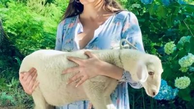 «صار عندي خروف».. دومينيك تُثير حيرة جمهورها (صور)