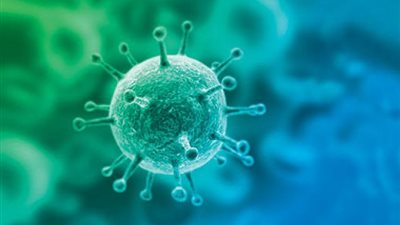 البروسيلا الصيني.. منظمة الصحة العالمية تحذر من وباء فتاك أخطر من كورونا