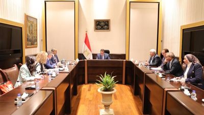 وزير التعليم العالي يبحث سبل التعاون مع الوكالة الجامعية الفرانكفونية