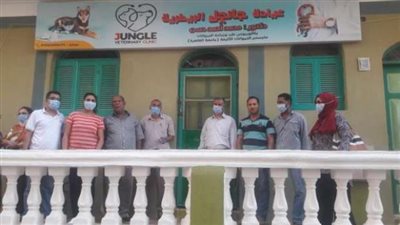 أغلقت عيادته والنقابة تبحث شطبه ..مصير طبيب الفرخة الذي خدع المصريين