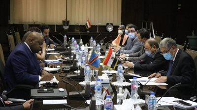 ننشر كواليس لقاء وزير الكهرباء بوفد رفيع المستوى برئاسة مستشار الرئيس الكونغولي