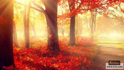 خريف الغضب.. خبراء يحذرون المصريبن من تقلبات جوية  حادة خلال الأيام القادمة