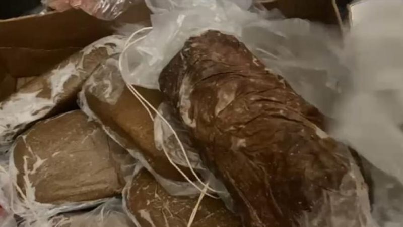 الجيزة تضبط بسطرمة
