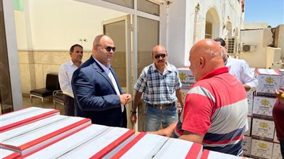 20 كرسي متحرك و500 كرتونة مواد غذائية.. وصول قوافل الخير للواحات البحرية