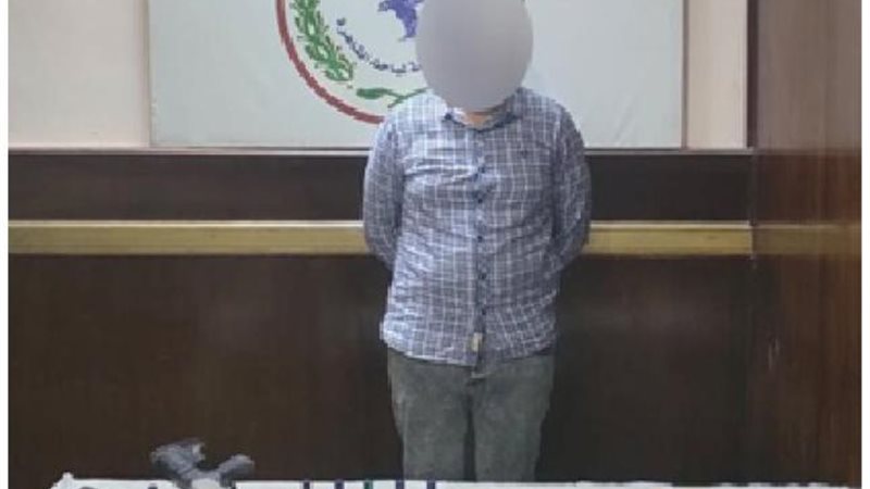 الموجز