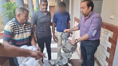 شاهد.. كيف ضبطت الجيزة سارق  «الكلوبات والأباليك» الكهربائية بممشى المريوطية السياحى؟