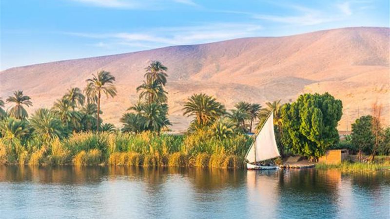 الموجز