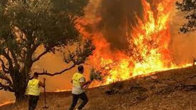 الجزائر تُعلن إخماد 22 حريقًا في 12 ولاية خلال 24 ساعة