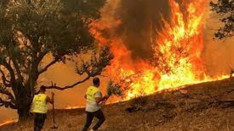 صورة أرشيفية