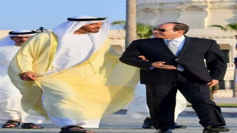 الرئيس السيسى