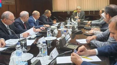 وزير الكهرباء يتابع مع رئيس شركة البحيرة مستوى الأداء والتطوير