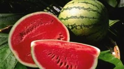 أبرزها يوم البطيخ واستراحة المخ.. أغرب الأعياد في العالم