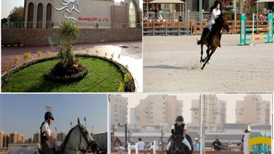 الداخلية تُنظم بطولة الفروسية للموسم الصيفى 2021-2022