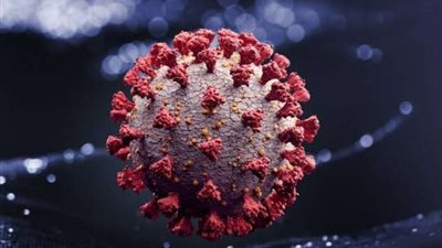 دولة عربية كبري تُعلن حالة الطوارئ الصحية بسبب كورونا