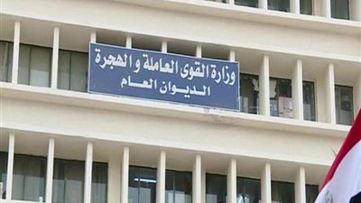 «القوى العاملة» تعلن عن دورات تدريبية للشباب على 12 مهنة مجاناً ..إليك التفاصيل