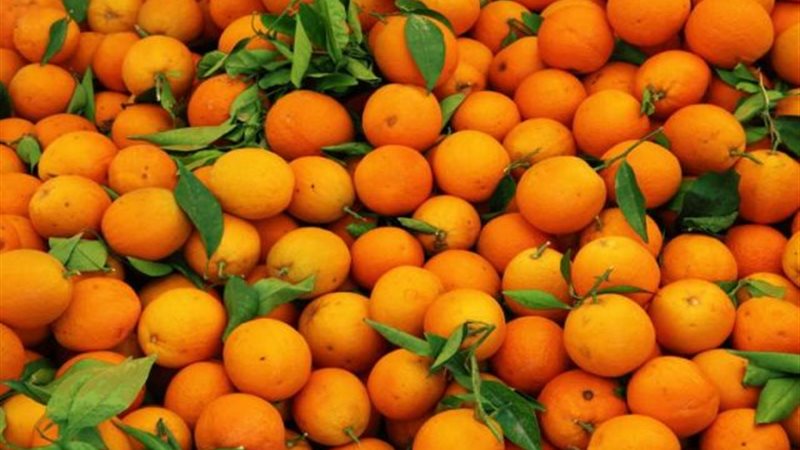 أرشيفية