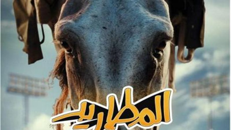 المطاريد