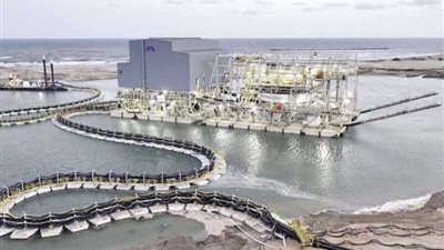 يوفر 5 آلاف فرصة عمل للشباب.. كل ما تُريد معرفته عن مشروع الرمال السوداء بكفر الشيخ