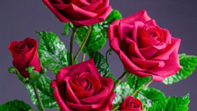 تركت مهنة الهندسة من أجل صناعة الحلوي.. حكاية أشهر صانعة لحلوى الزهور في العالم