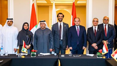 مجلس الأعمال المصري الإماراتي يعقد اجتماع مع نظيره الإماراتي لدعم فرص التعاون