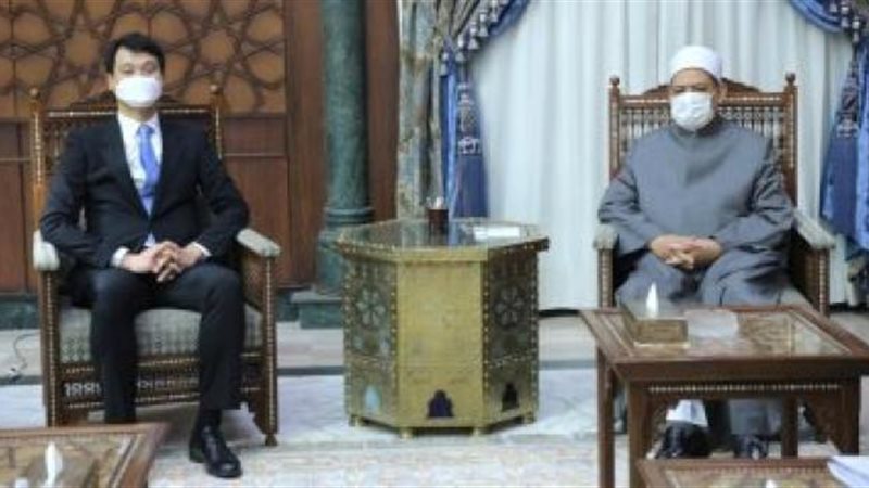 لقاء شيخ الأزهر وسفير