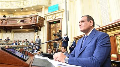 وزير التنمية المحلية: الانتهاء من المخططات الإستراتيجية لـ185 مدينة والأحوزة العمرانية لـ 226 مدينة