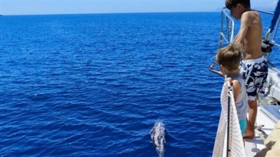 تستعد لعبور الأطلسى واستكشاف الكاريبى.. حكاية العائلة التى باعت كل أملاكها خوفًا من كورونا