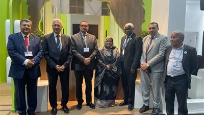 وزير التنمية المحلية يلتقى وفد منظمة المدن والحكومات المحلية الأفريقية