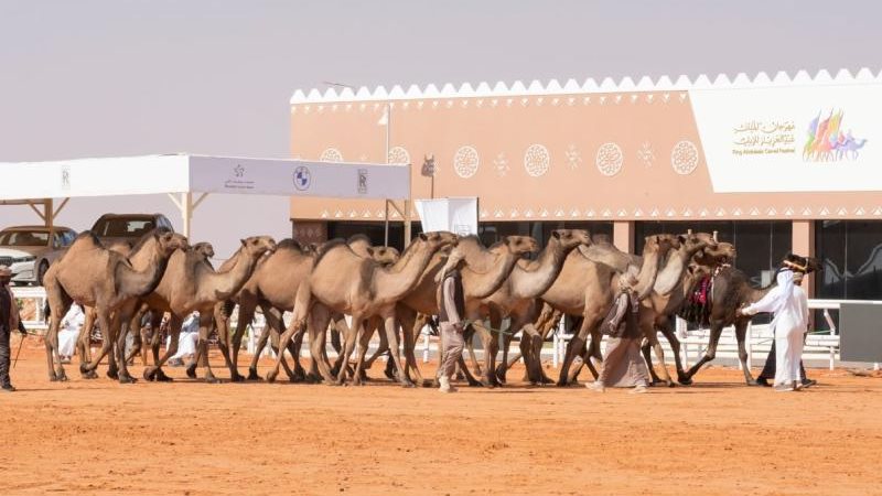 الموجز