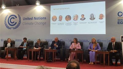 وزير الكهرباء: إفريقيا تحتاج لكوادر شبابية تدرك حجم التحدى القادم