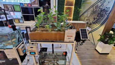 مركز ابحاث البيئة والاستدامة بالجامعة الأمريكية بالقاهرة يعرض أبحاثه بمؤتمر المناخ COP27