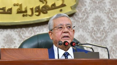 رئيس النواب: النجاح المبهر في تنظيم قمة المناخ يثبت جدارة مصر بكل شيء عظيم