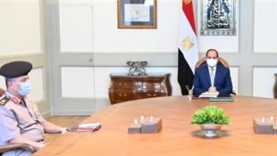 السيسي يوجه بتطوير قطاع النقل البحرى