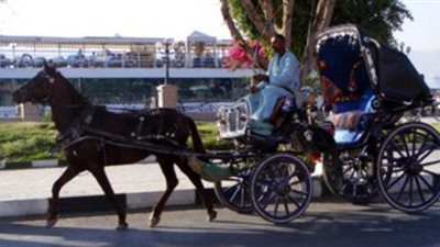 التنشيط السياحى تخصص 500 ألف جنيه لدعم أصحاب الحناطير والفلايك بالأقصر وأسوان