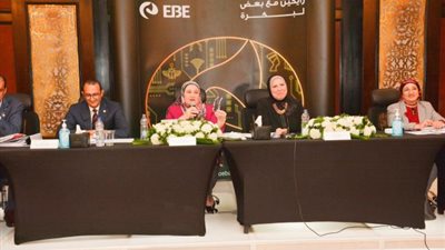 ميرفت سلطان : للعام الثاني على التوالي أرباح البنك المصرى للصادرات تتخطى المليار جنيه  مصري