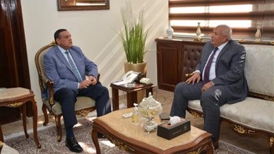 تفاصيل لقاء وزير التنمية المحلية ومحافظ الوادى الجديد