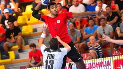 هشام نصر يعلن تاجيل بطولة أفريقيا لكرة اليد