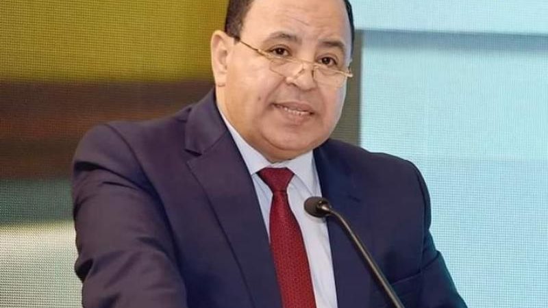 وزير المالية