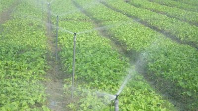 الرى: الانتهاء من تنفيذ مشروعات الرى الحديث فى 331 ألف فدان