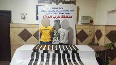 ضبط 100 طربة حشيش بحوزة عنصريين إجراميين بالبحيرة