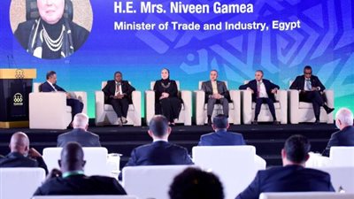 وزيرة التجارة والصناعة: حريصون على تقديم الخبرة المصرية للأشقاء الافارقة  في مجالات إقامة المناطق والمجمعات الصناعية