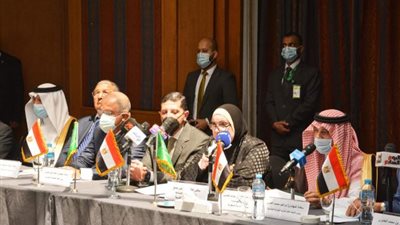 نيفين جامع :دعم ومساندة القيادة السياسية فى مصر والسعودية تمثل فرصة ذهبية لتعزيز الشراكة الإستثمارية بين البلدين