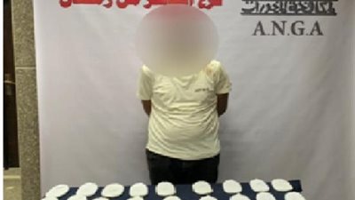 ضبط 30 طربة حشيش وكمية لمخدر الآيس بحوزة أحد العناصر الإجرامية بالشرقية