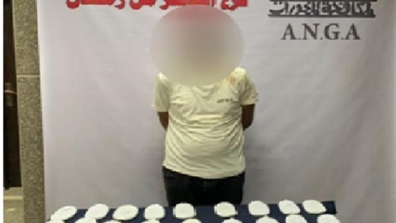الموجز